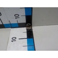 Натяжитель цепи GM Corsa B (1993 - 2000) 55352909