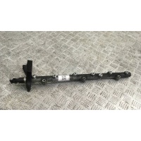 топливная рампа BMW X5 E53 2002 0445216002
