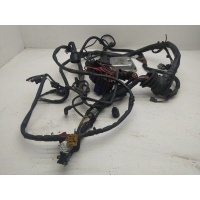 Проводка двигателя Audi A4(B6) 2003 038906019LJ