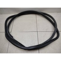 Уплотнитель проема двери задней правой toyota Avensis (T270) 2008-2018 6233105120C0