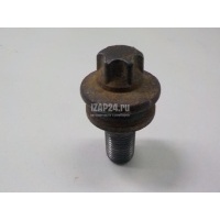Болт цапфы Renault Scenic II (2003 - 2009) 7703002880