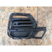 Заглушка (решетка) в бампер передний BMW X5 G05 2019 51117449688