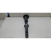 Амортизатор передний BMW X5 E70 (2007 - 2013) 31316781920