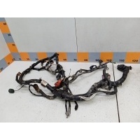 Проводка двигателя коса Nissan Note E11 2012 24011BC02A