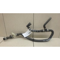 Патрубок Ford Focus III (2011 - 2019) 2314488