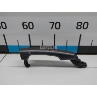 Ручка двери наружная Land Rover Range Rover Evoque (2011 - 2018) LR061200