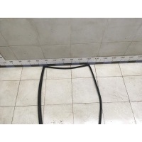 Уплотнитель стекла двери NISSAN Tiida (C11) 2007-2014 82330EL40A