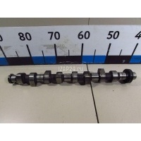 Распредвал VAG A3 (8L1) (1996 - 2003) 038109101K