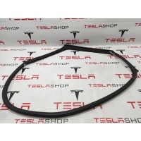 Уплотнитель Tesla Model S 2015 6009585-00-I