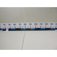 Накладка стекла переднего правого Ford Focus II (2005 - 2008) 1691981