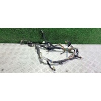 Проводка двери Kia Sorento 1 2004 918003E060