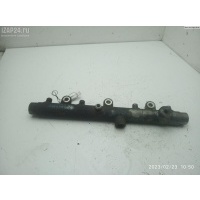 Рампа (рейка) топливная Fiat Ducato (2002-2006) 2005 0445214091