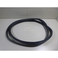 Уплотнитель двери Renault Megane II (2003 - 2009) 8200077500
