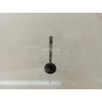 Клапан впускной VAG Golf Plus (2005 - 2014) 036109601AK