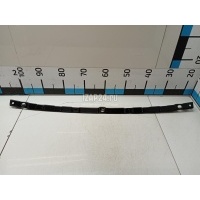 Кронштейн заднего бампера Hyundai-Kia Opirus (2003 - 2010) 866813F500