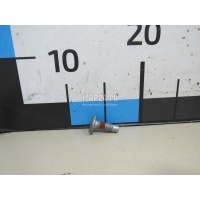 Болт Renault Scenic (1999 - 2003) 8200697105