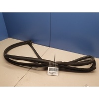 Уплотнитель двери задней правой Volkswagen Golf 5 2003-2009 1K98397025AP