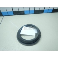 Кольцо уплотнительное (двигатель) Nissan Qashqai (J10) (2006 - 2014) 172405M300