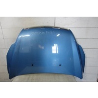 Капот Ford Focus II 2008-2011 1521601