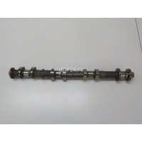 Распредвал выпускной Nissan Teana J32 (2008 - 2013) 13020JN00D