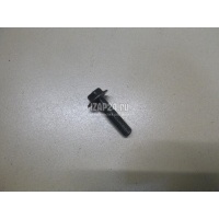 Болт распредвала Citroen-Peugeot 4007 (2008 - 2013) 080671