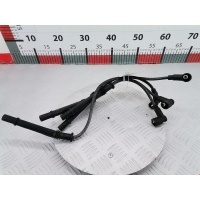 Провод высоковольтный (силовой) Renault Modus (2004-2012) 2005 ,8200575895