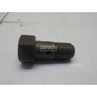 Клапан обратный Renault TRUCK Magnum DXI (2005 - 2008) 7421458307