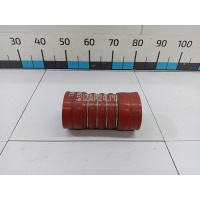 Патрубок интеркулера DT Spare Parts TRUCK Premium 2 (2005 - 2013) 635511