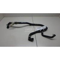 Патрубок Ford Focus III (2011 - 2019) 2314488