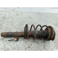 Стойка подвески передняя левая Citroen Xsara Picasso 2006 00005202PJ, пружина - 00005002QL