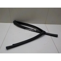 Уплотнитель стекла двери Renault Duster 2012 823310036R
