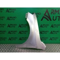 Крыло Volkswagen Passat B7 2011-2015 3AA821021B