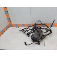 Проводка подкапотная Ford Focus 1, DBW 1126245