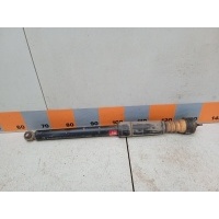 Амортизатор задний Ford Focus 1, DBW 4417789