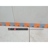 Амортизатор задний Ford Focus 1, DBW 4417789