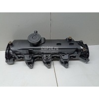 Крышка головки блока (клапанная) Renault Clio IV (2012 - 2019) 8200629199