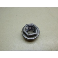 Гайка VAG Exeo (2009 - 2013) WHT000428
