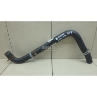 Патрубок радиатора Hyundai-Kia Sorento III Prime (2015 - 2020) 25414C5700