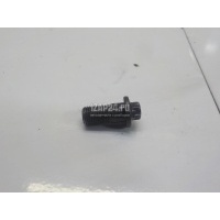 Болт полый Scania 4 P series (1995 - 2007) 1525387