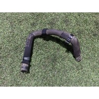 Патрубок охлаждения Porsche Cayenne III 3 2018 4m0122447d