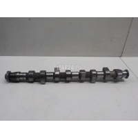 Распредвал VAG A4 [B5] (1994 - 2001) 028109101F