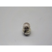 Патрон лампы BMW X5 E53 (2000 - 2007) 63216943036