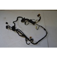 проводка двери передней правой Volkswagen Beetle 3 5C1971162