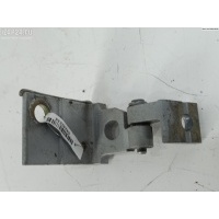 Петля двери передней левой Audi A4 B5 (1994-2001) 1999 8D0831401B