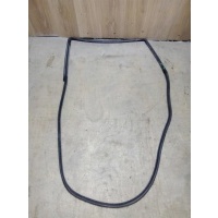 Уплотнитель двери задней правой Chevrolet Captiva (C100) 2006-2011 2007 95441614