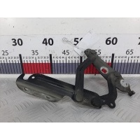 Петля капота правая Ford Fiesta 6 (-) 2009