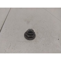 Гайка передней ступицы Hyundai-Kia Sorento II (2009 - 2020) 495513X000