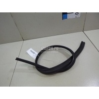 Уплотнитель капота Ford Focus III (2011 - 2019) 1736699