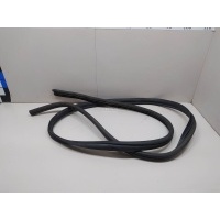 Уплотнитель (внутри) Renault Kangoo 2008 8200425635