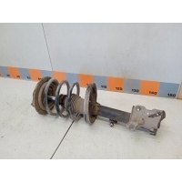 Амортизатор передний Nissan Murano Z50,TZ50,PZ50,PNZ50 2007 E4303CC40A